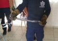 Emite PC de Victoria recomendaciones para evitar picaduras de animales ponzoñosos.
