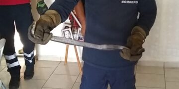 Emite PC de Victoria recomendaciones para evitar picaduras de animales ponzoñosos.