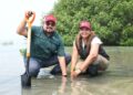 Salvan al mangle en las costas de Tamaulipas