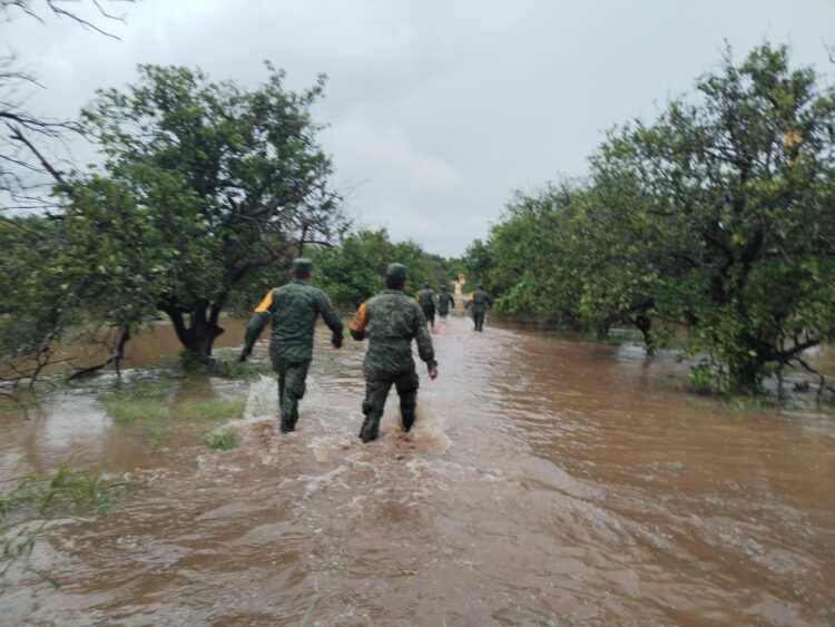 Se desborda el río Guayalejo y deja 2,500 damnificados en Tamaulipas