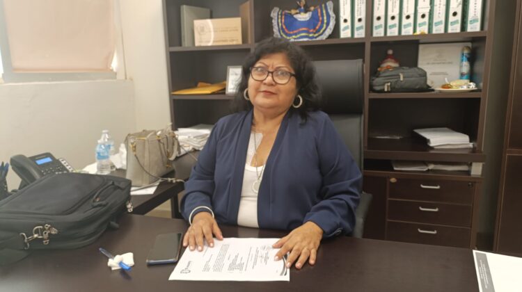 Titular de CODHET no debe tener colores: Diputada del PAN