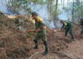 Ejército y Guardia Nacional combaten incendio cerca de la Reserva de la Biosfera del Cielo, en Tamaulipas