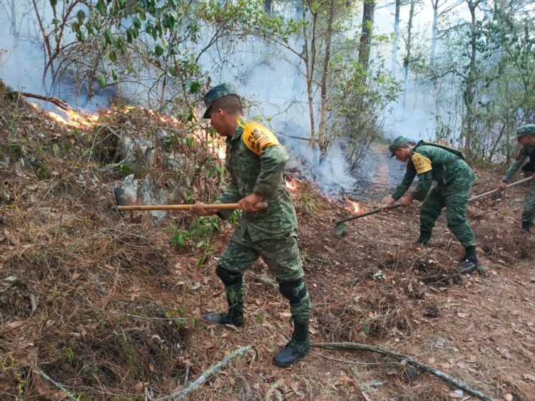 Ejército y Guardia Nacional combaten incendio cerca de la Reserva de la Biosfera del Cielo, en Tamaulipas