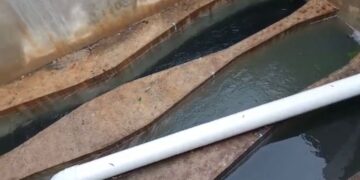 Saldo blanco en infraestructura de COMAPA Victoria por tormenta tropical Alberto