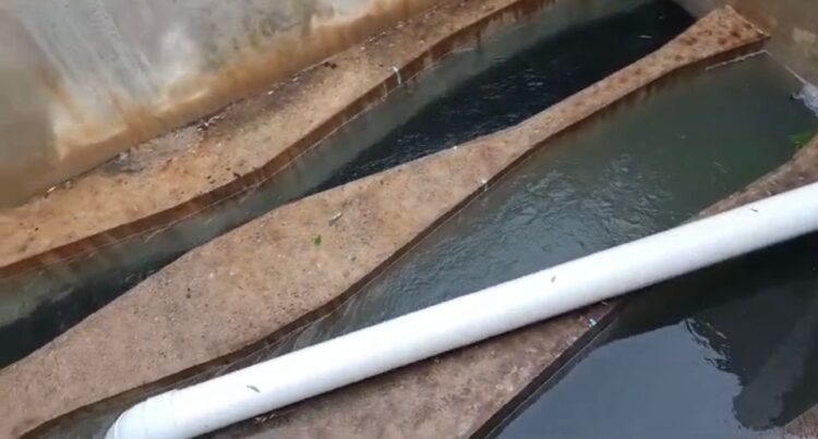 Saldo blanco en infraestructura de COMAPA Victoria por tormenta tropical Alberto