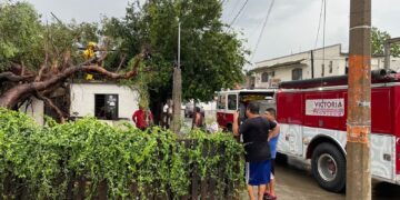 Retira Municipio arboles derribados por lluvia