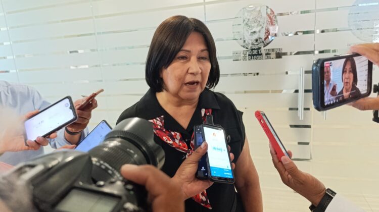 Es María Taide Garza Guerra nueva presidenta de Derechos Humanos en Tamaulipas