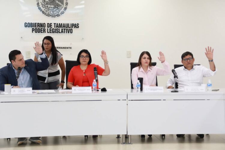Diputados de Morena, tranquilos ante acusaciones contra el Auditor Interino