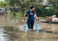 Matamoros bajo el agua por inundaciones de «Francine»