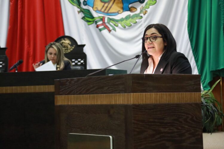 Diputada de Morena pide prohibir corridas de toros en Tamaulipas