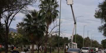 Intensifica Municipio limpieza y alumbrado en parques y jardines