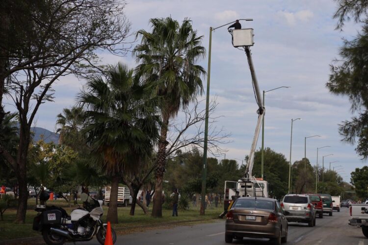 Intensifica Municipio limpieza y alumbrado en parques y jardines