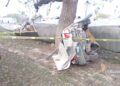 Mueren dos maestras al chocar con un trailer en Tamaulipas