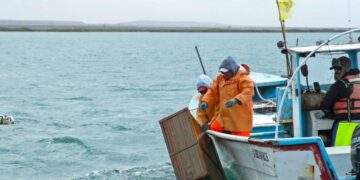 Inició 2025 con veda para la pesca en la Laguna Madre de Tamaulipas