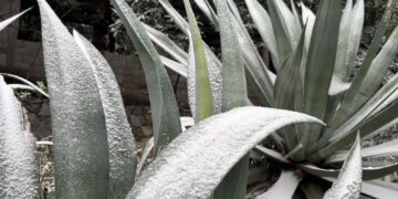Se pinta de blanco la Sierra en Ciudad Victoria