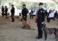 En Tamaulipas despiden con honores a 5 perros policías