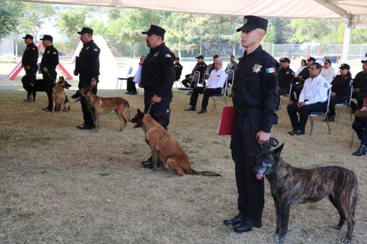 En Tamaulipas despiden con honores a 5 perros policías