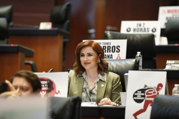 Senadora de Tamaulipas se opuso a la reforma del INFONAVIT 