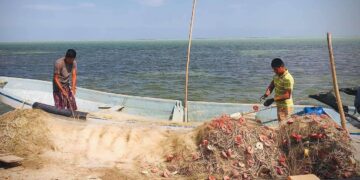 Detecta la Secretaría Marina pesca ilegal en costas de Tamaulipas