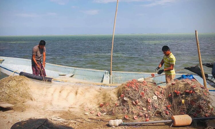 Detecta la Secretaría Marina pesca ilegal en costas de Tamaulipas