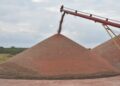 Beneficiarán a sorgueros de Tamaulipas con Ley de Biocombustibles