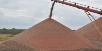 Beneficiarán a sorgueros de Tamaulipas con Ley de Biocombustibles