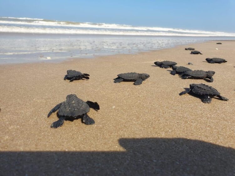 Proyectarán en televisión nacional las maravillas naturales de Tamaulipas