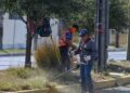 Municipio limpia y conserva 35 mil metros lineales de avenidas y jardines
