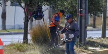 Municipio limpia y conserva 35 mil metros lineales de avenidas y jardines