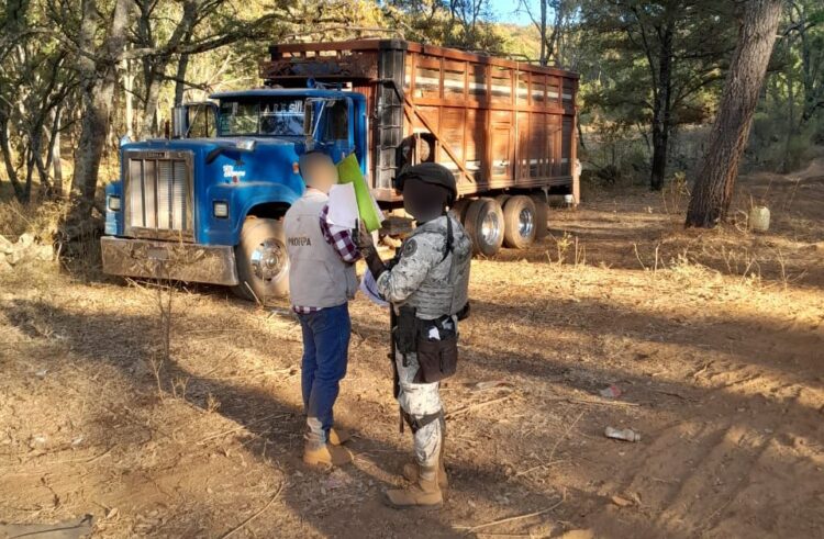 Decomisan madera de tala ilegal en Michoacán