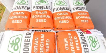 Denuncian en Tamaulipas fraude de beneficiarios de programas del campo
