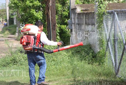 Reportan a Tamaulipas libre de Chikungunya y Zika, pero registra 118 casos de dengue