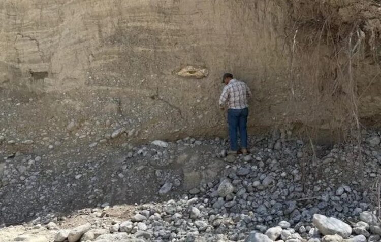 Confirman que huesos hallados en Tula fueron de megafauna de hace 10,000 años