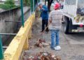 Limpian drenes tras inundaciones leves por paso de frente frío por Victoria