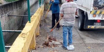 Limpian drenes tras inundaciones leves por paso de frente frío por Victoria