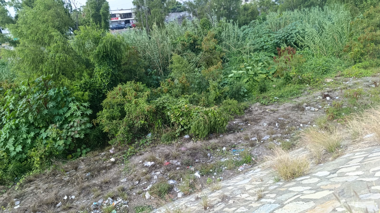 Contaminan al Río San Marcos en su paso por Ciudad Victoria