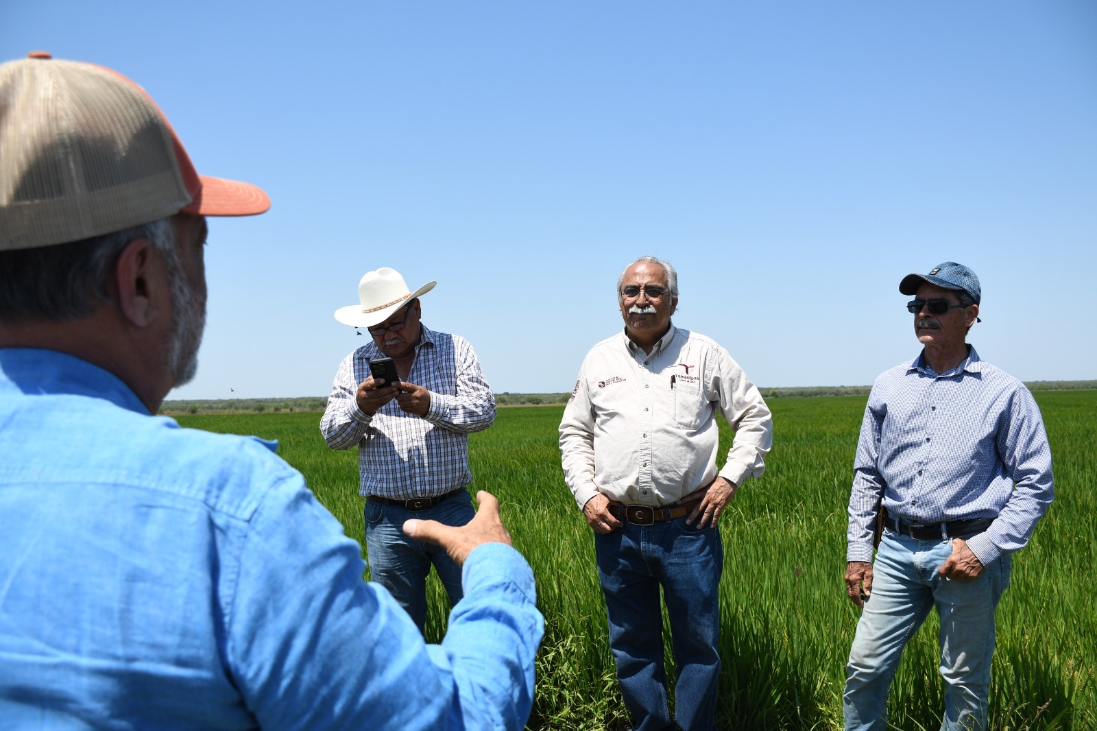 Campo de Tamaulipas produce 14 mil toneladas de arroz