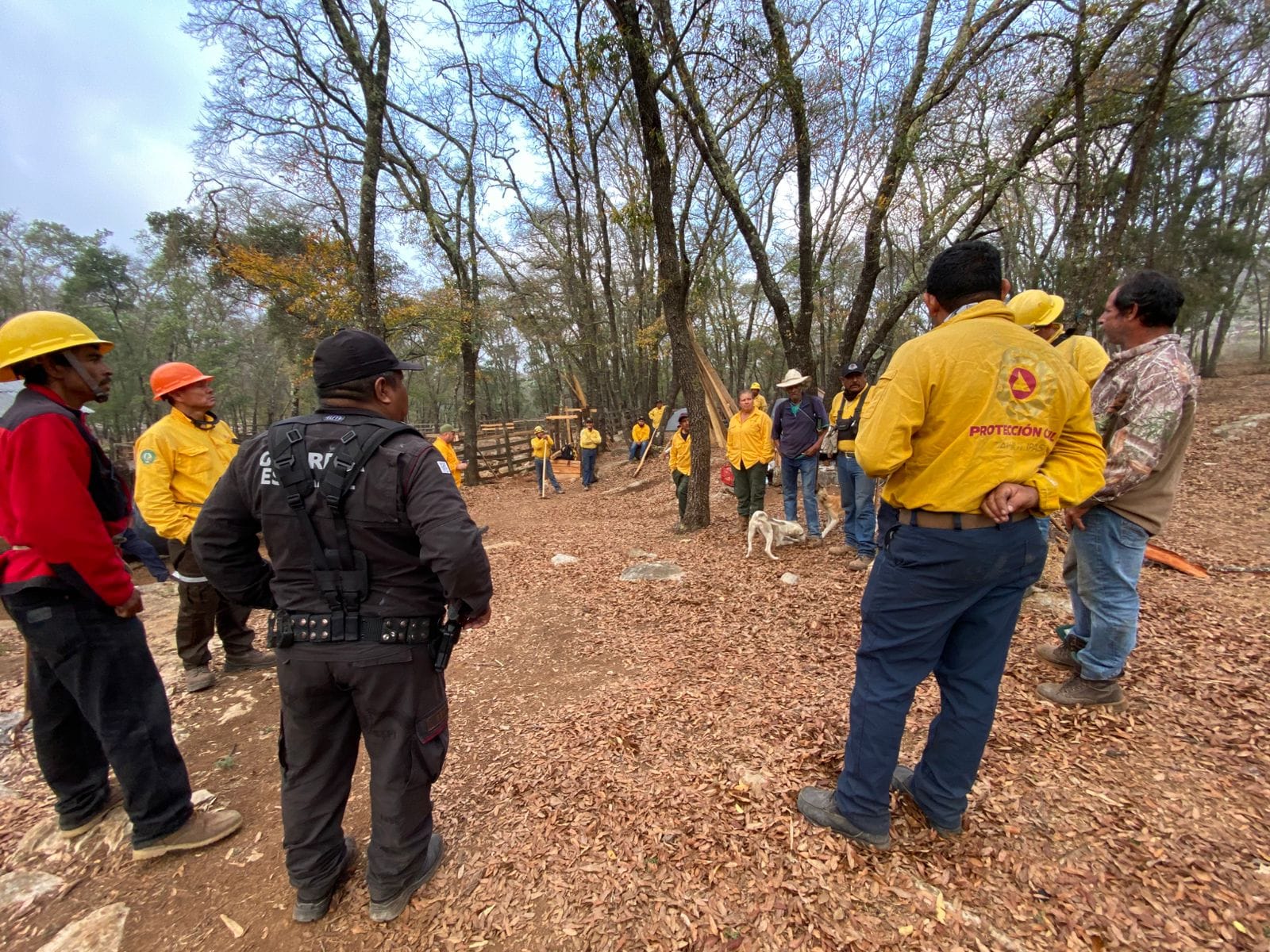 Se suma Guardia Estatal a combate del incendio en la Biósfera El Cielo