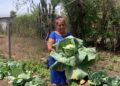 Fomentan huertos de traspatio para alimentación saludable en comunidades rurales de Tamaulipas
