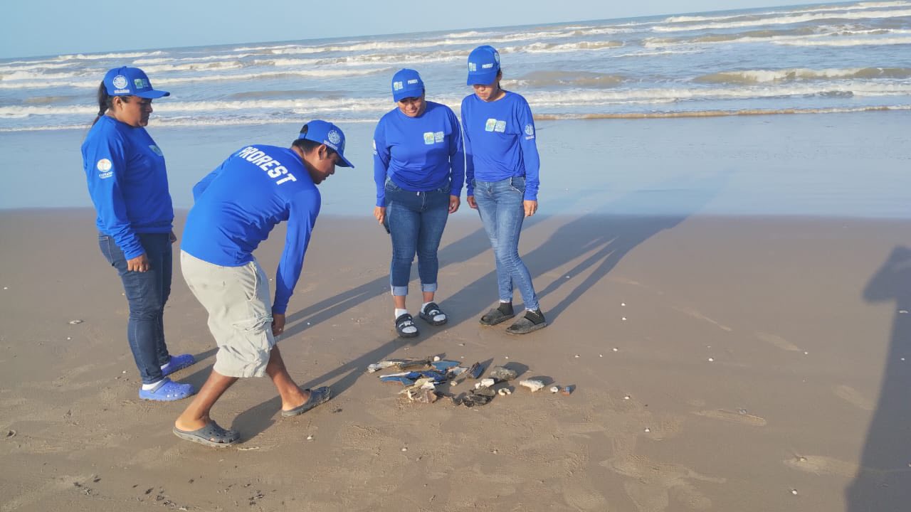 Afecta explosión del cohete Starship de SpaceX a fauna marina en Tamaulipas