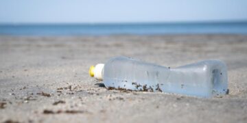 Persiste en Tamaulipas  riesgo por contaminación de residuos plásticos en sus costas