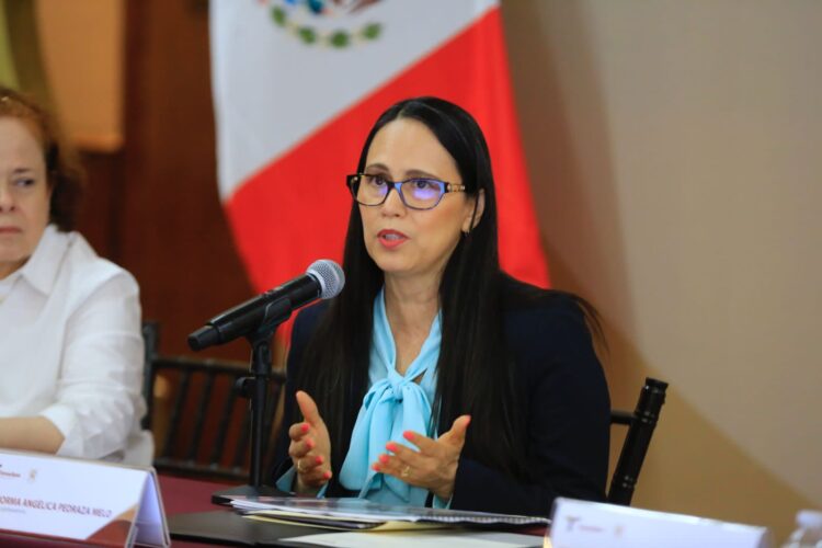 En pausa, la información del Instituto de Transparencia para el Pueblo de Tamaulipas