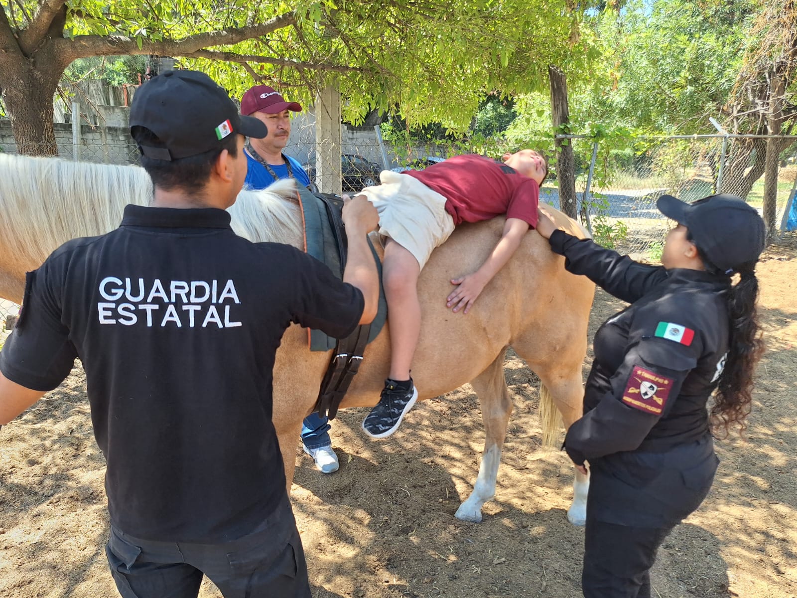 Guardia Estatal montada de Tamaulipas realiza sesiones de equinoterapia