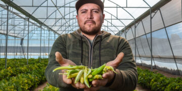 Intenta México producir alimentos con menos agua
