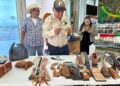 Exhiben artesanos rurales de Tamaulipas su talento en la Torre Bicentenario