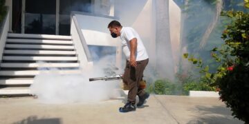 Se reportan 392 casos de dengue en Tamaulipas, 161 con posibles complicaciones graves