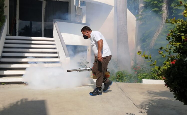 Se reportan 392 casos de dengue en Tamaulipas, 161 con posibles complicaciones graves