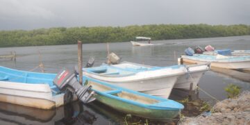 Continua la investigación por supuesto impacto de SpaceX en pesca tamaulipeca
