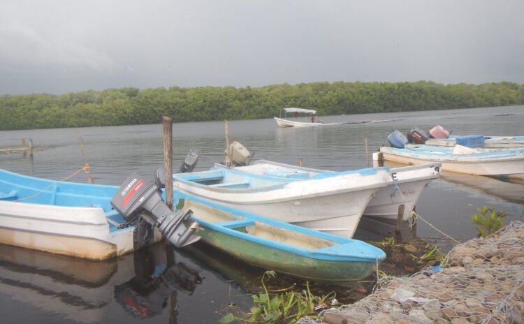 Continua la investigación por supuesto impacto de SpaceX en pesca tamaulipeca