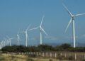 Construirá CFE parque eólico en la frontera norte de Tamaulipas